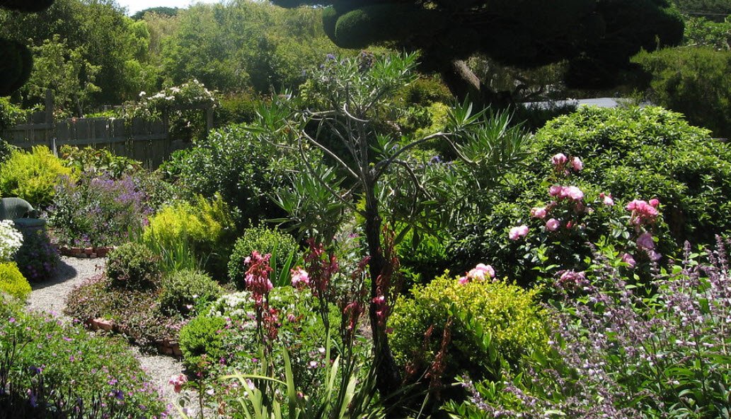 Marin-Bolinas Botanical Gardens, United States
